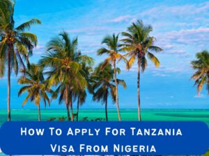 How-To-Apply-For-Tanzania-Visa-Asedeeq-Travels