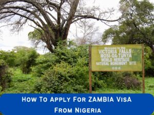 How-to-apply-for-Zambia-visa-AsedeeqTravels